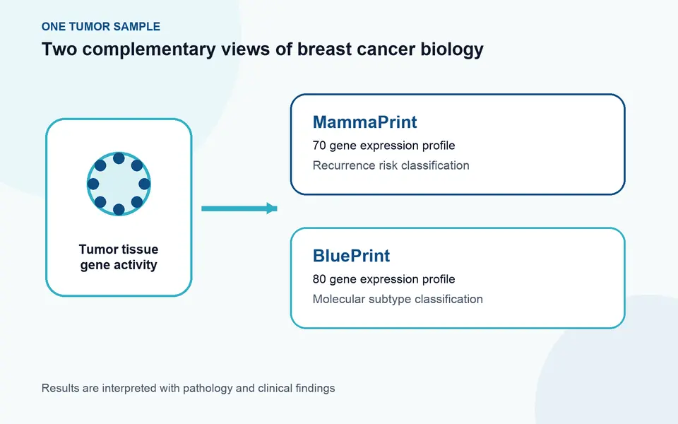 MammaPrint and BluePrint Breast Cancer Testing